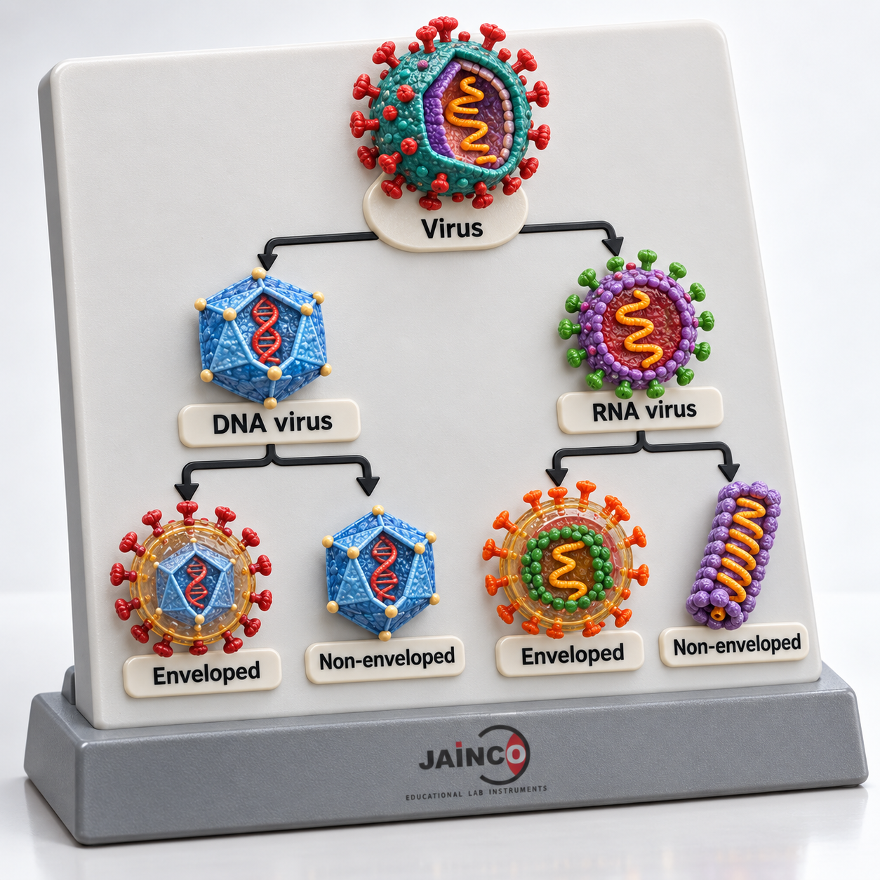 Classification of Virus Model